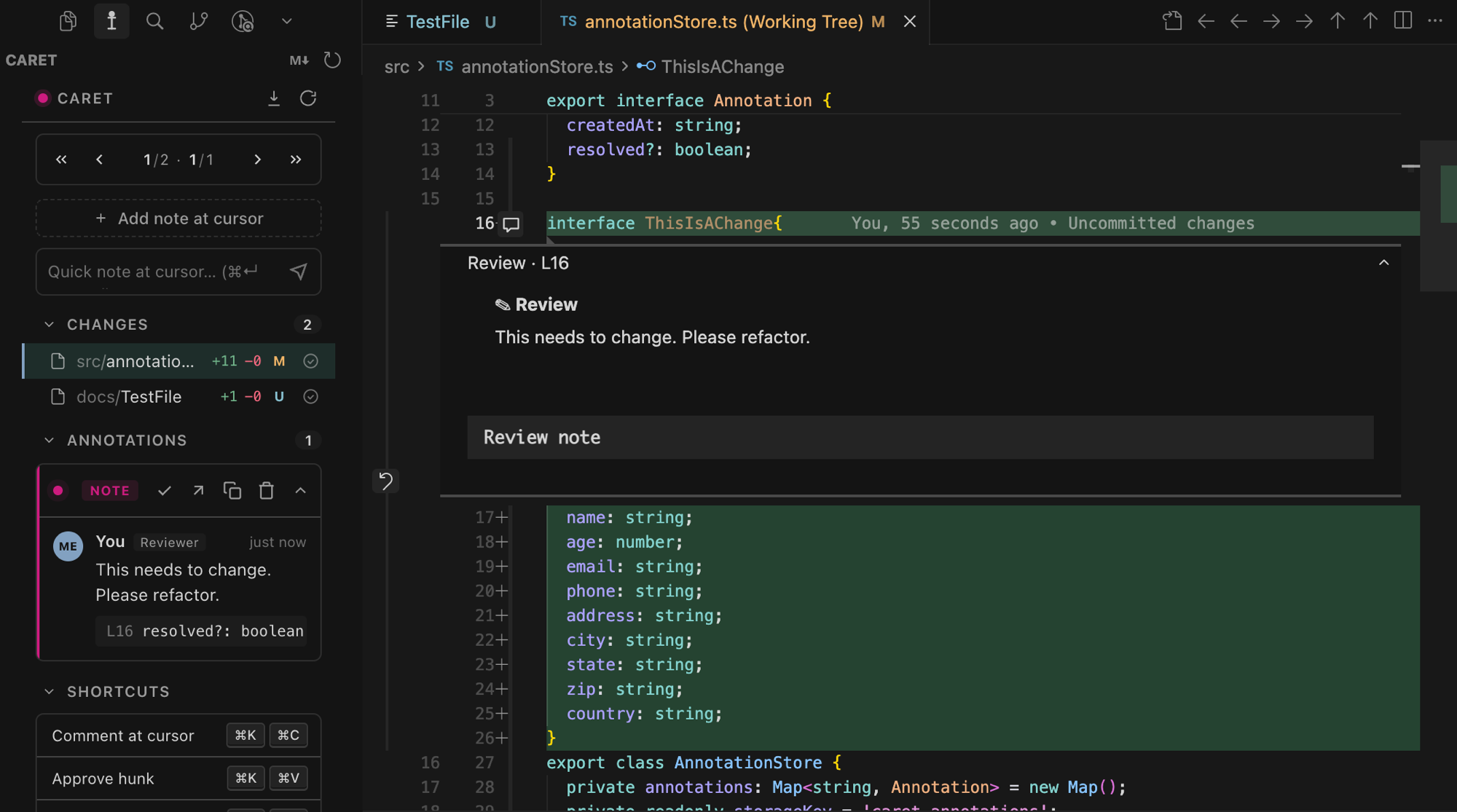 Caret review panel in VS Code